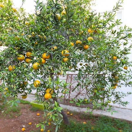 Laila'S Cozy Garden House & Studio Larnaca Exterior foto