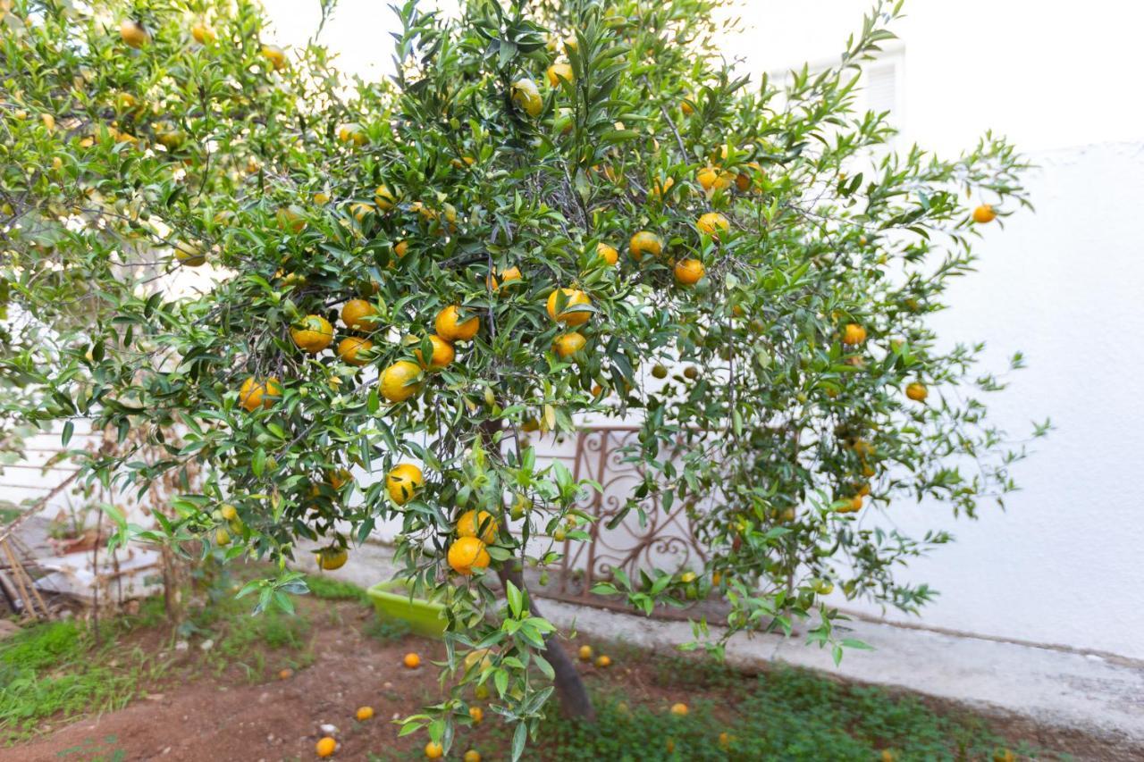 Laila'S Cozy Garden House & Studio Larnaca Exterior foto