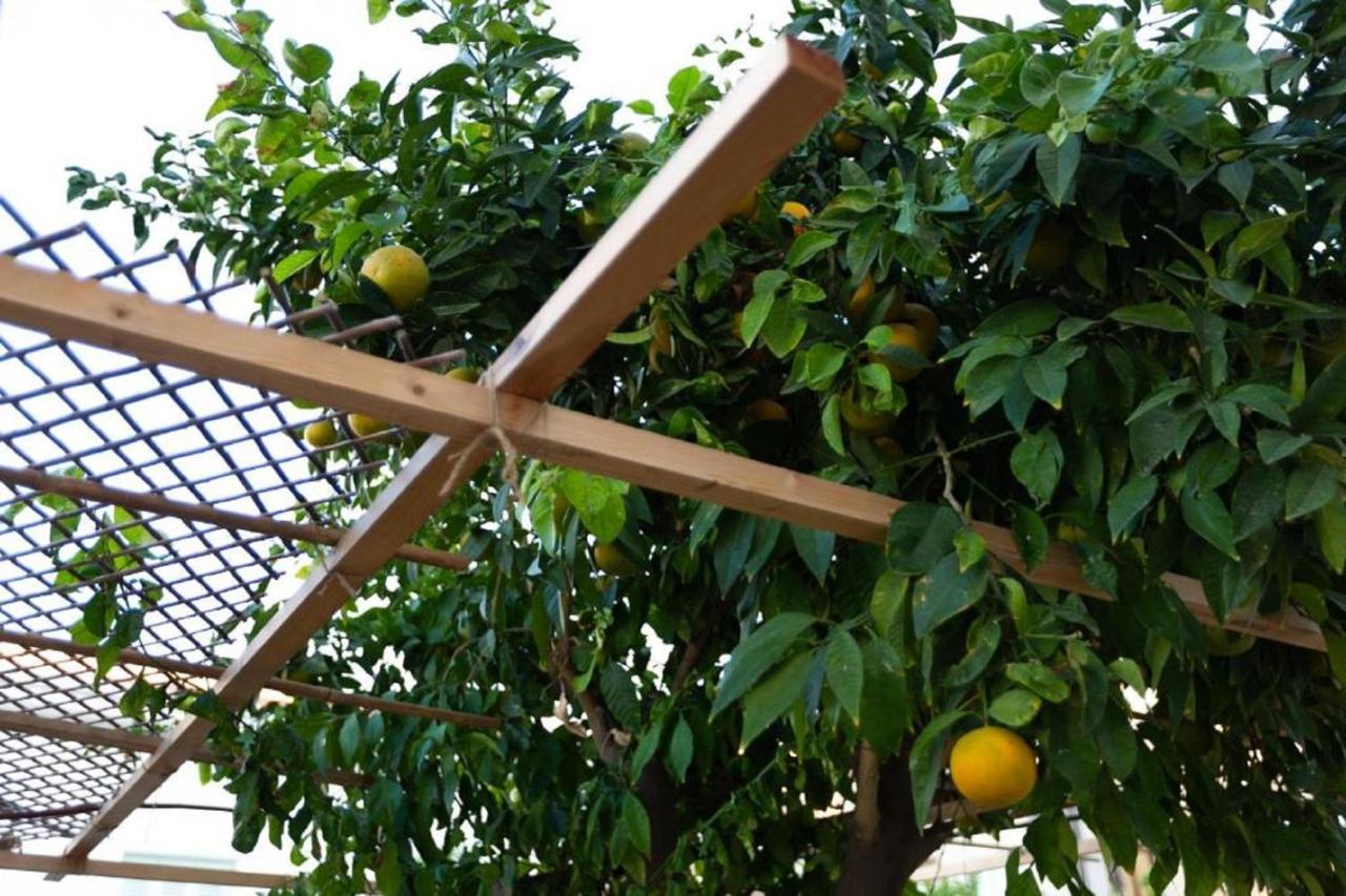 Laila'S Cozy Garden House & Studio Larnaca Exterior foto